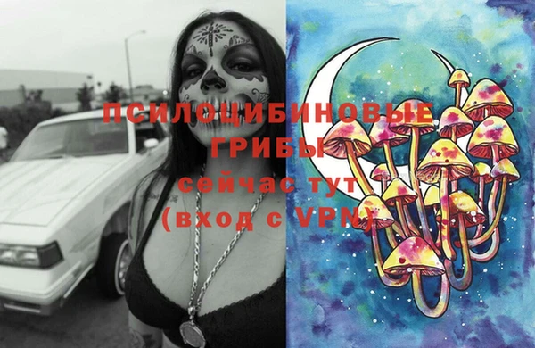 спиды Кинешма